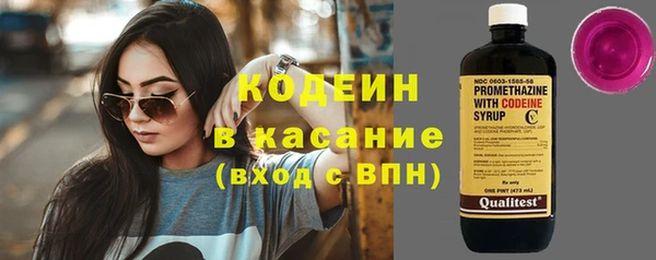 гашик Алзамай