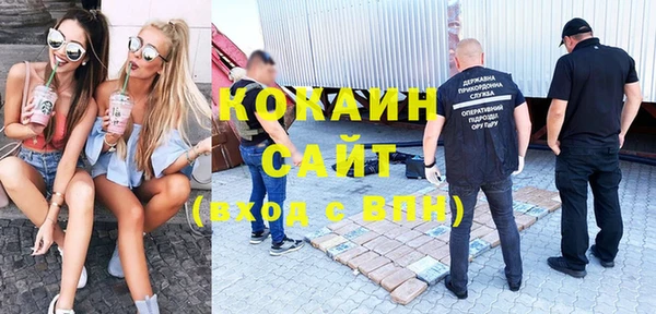 гашик Алзамай